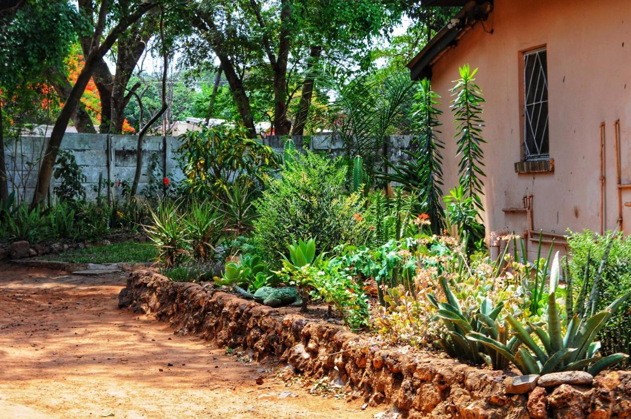 Butterfly Apartments Livingstone Exterior foto